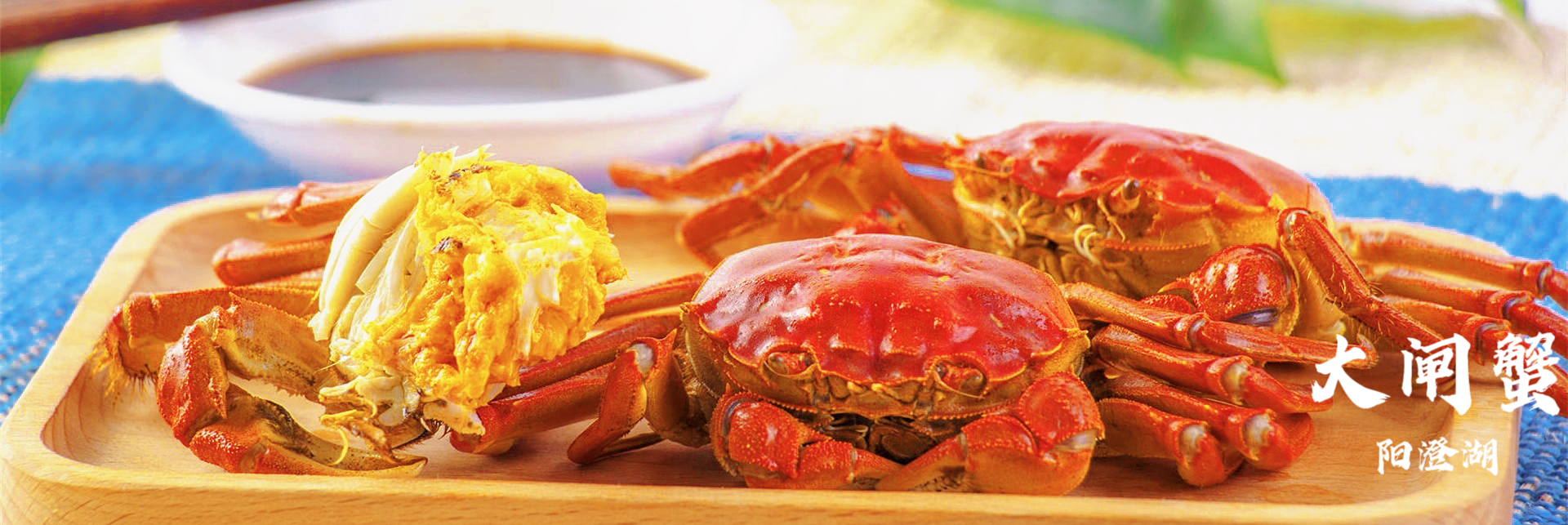 阳澄湖旅行团建