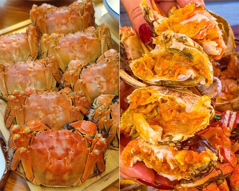 阳澄湖旅行团建