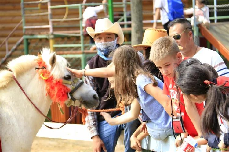 牛仔度假村小马