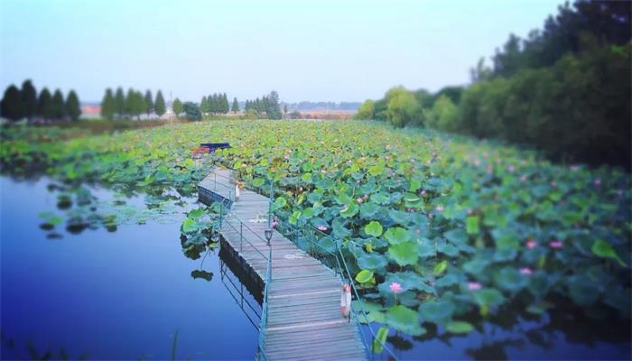 牛仔度假村门票价格