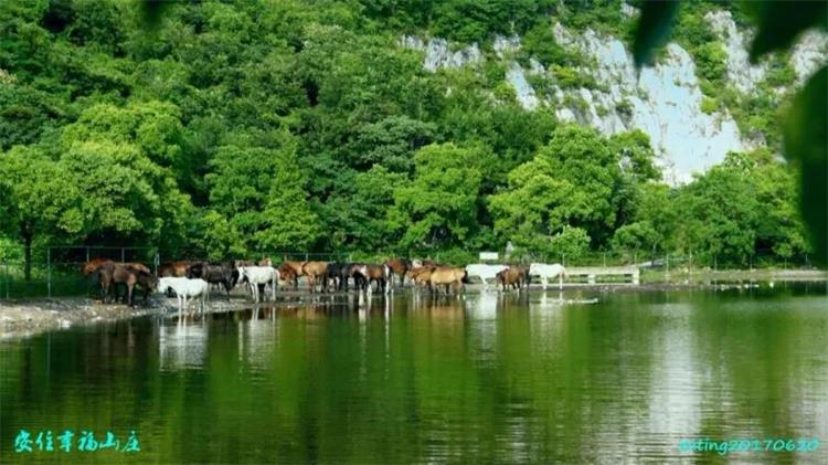 牛仔度假村年会