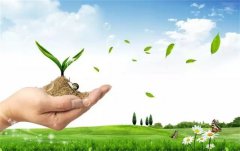 度假村环保月活动