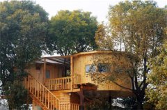 树屋美图及树屋照片