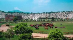 喜迎新年，感恩陪伴，安住幸福山庄给您拜年啦