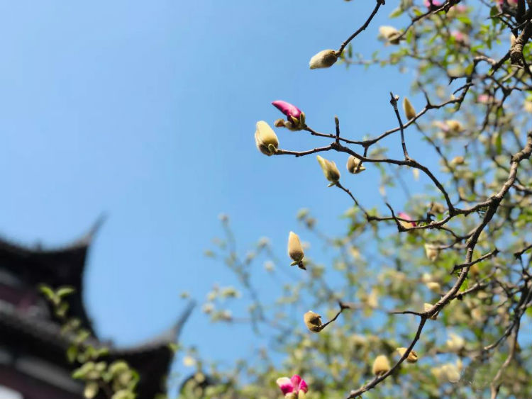 今日立春 | 寒尽春来，万象更新