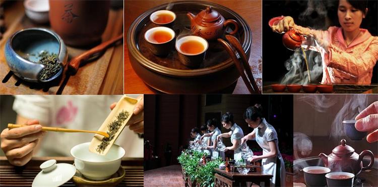 太湖采茶体验团建活动