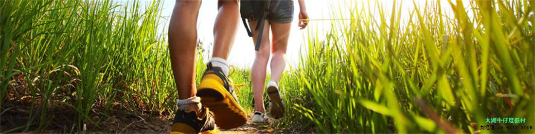 太湖徒步活动