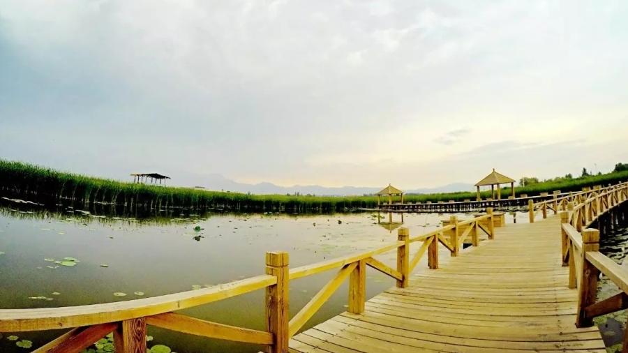 苏州太湖骑行团建拓展