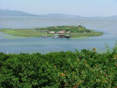 寻味碧螺 | 技之味，挽起碧螺飞翠