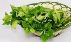 太湖牛仔度假村春天野菜赛黄金，你吃了没？