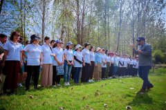 团建的活动和主题？