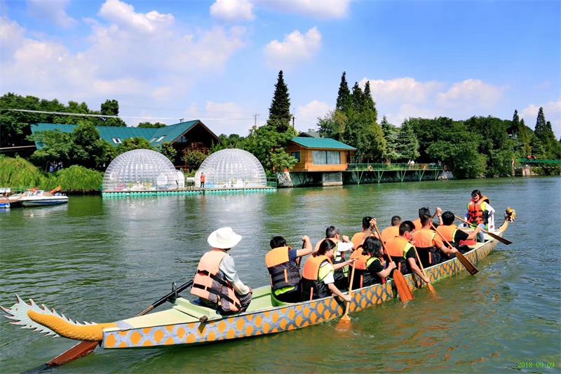 牛仔度假村龙舟比赛图片