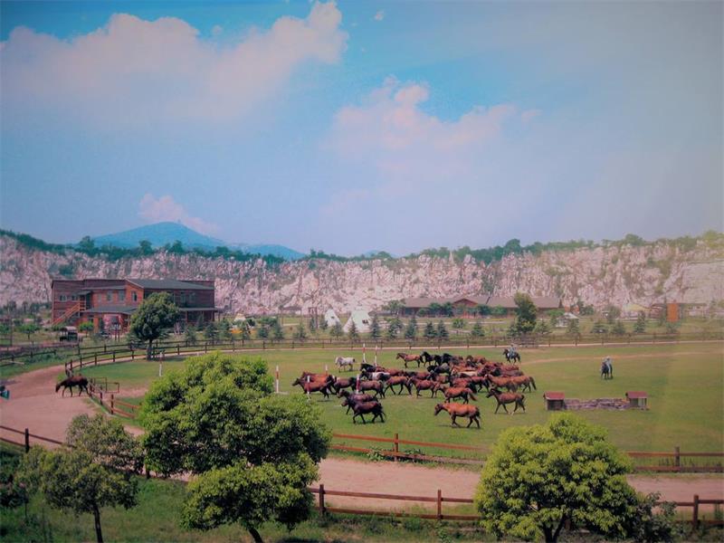 牛仔度假村团建攻略