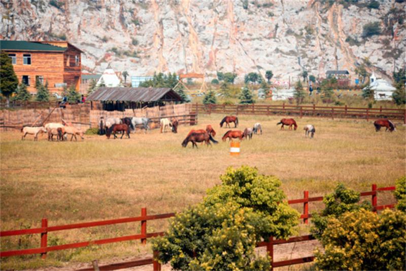 牛仔度假村马场