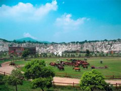 盈科上海知识产权部太湖团建之旅圆满结束