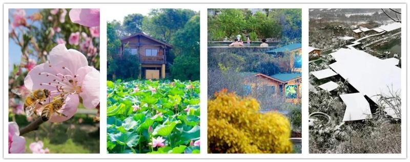 太湖旅游团建
