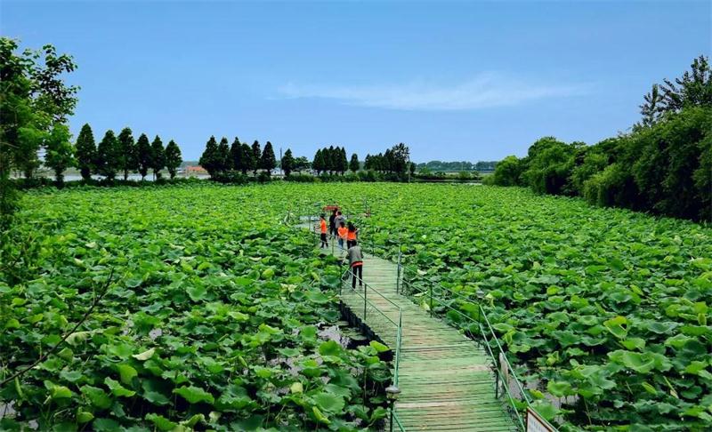 太湖牛仔度假村