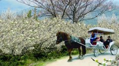 安住幸福2021年年会活动开始啦，湾湾欢聚度新春