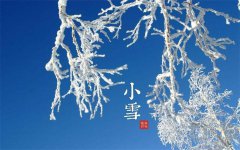 今日小雪-牛仔度假村恭候您小雪安康