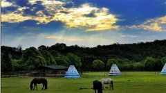 快乐收心，赢战新学期丨2020安住冬令营开始招生