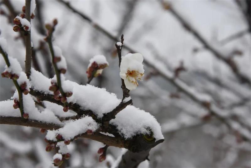 太湖牛仔度假村