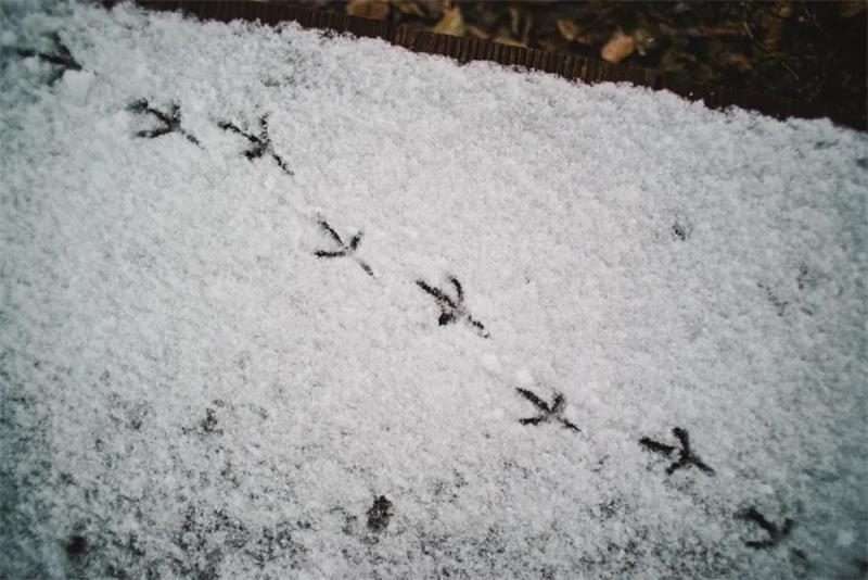 太湖牛仔度假村