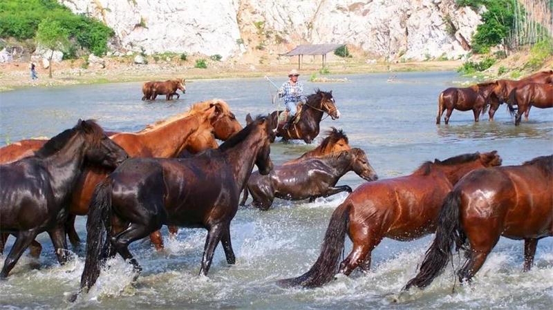太湖牛仔度假村