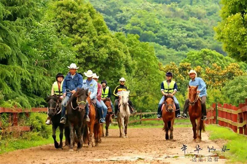 牛仔度假村活动