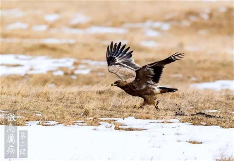 苏州太湖大寒节气活动