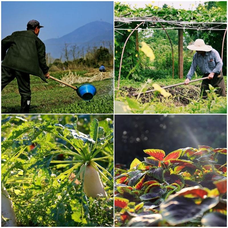 太湖牛仔度假村