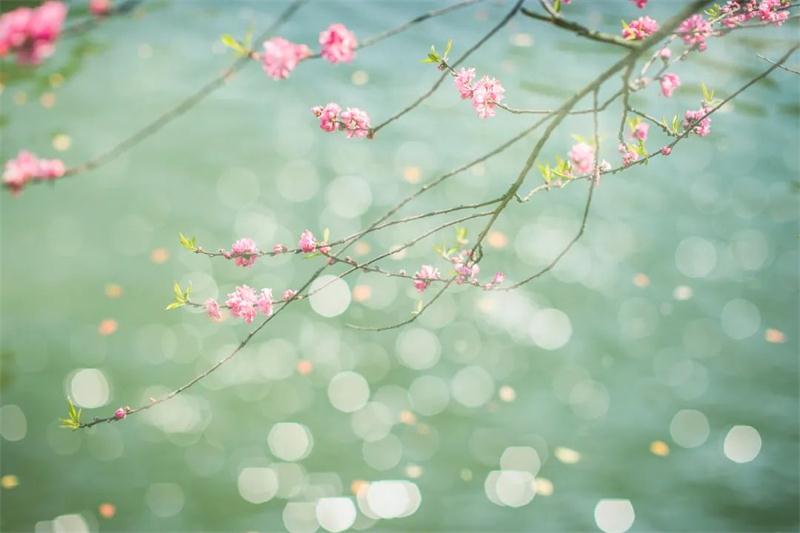 牛仔度假村立春