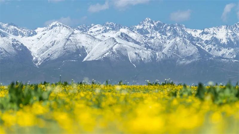 苏州太湖旅游策划