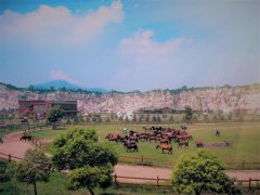 不一样的会员日，身心安住在健康幸福中