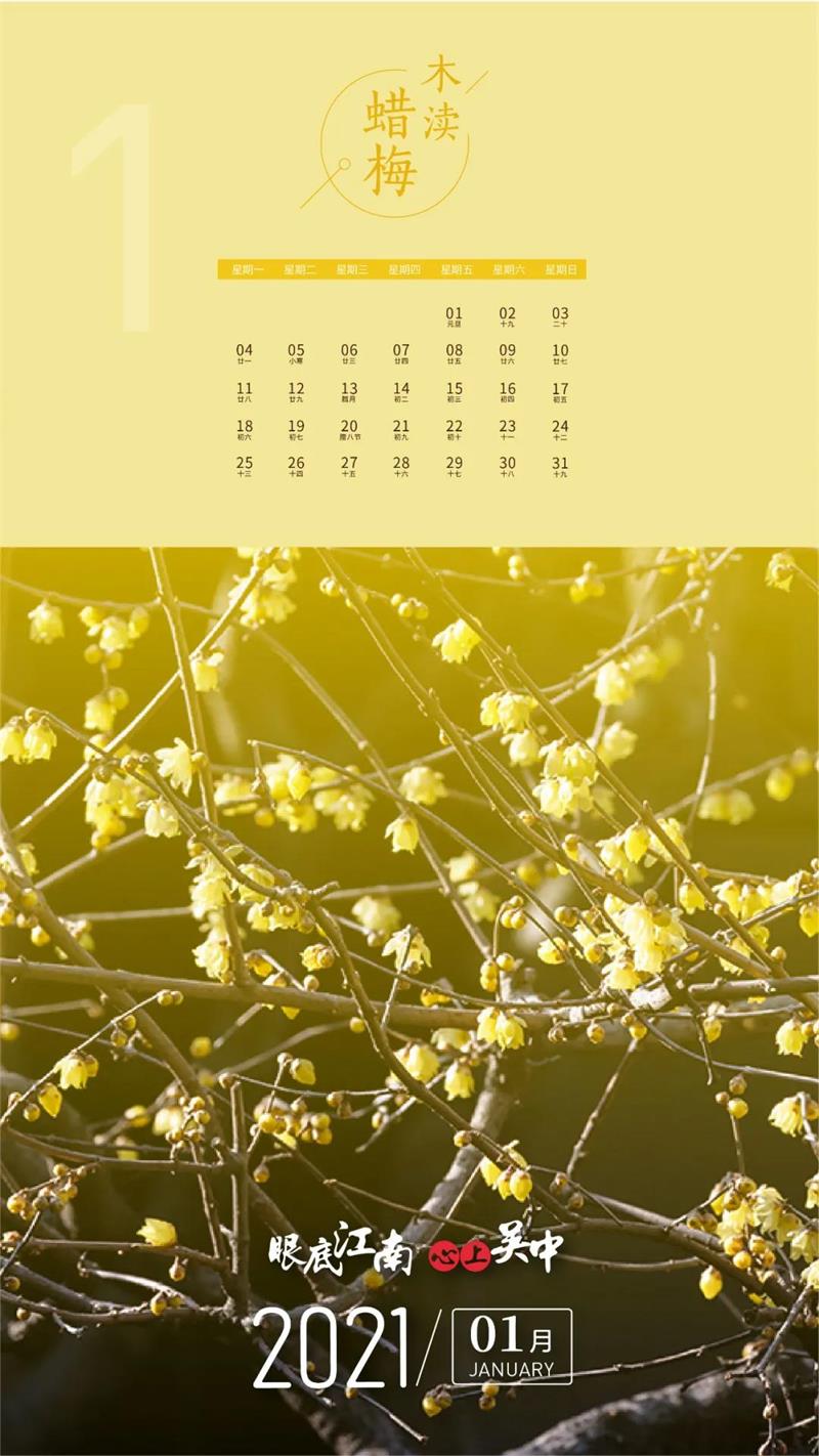 牛仔度假村旅游团建