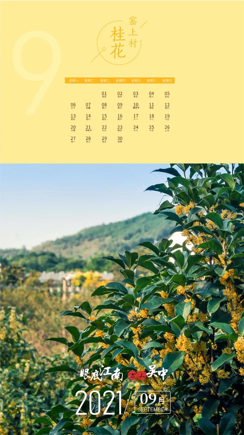 太湖旅游团建策划