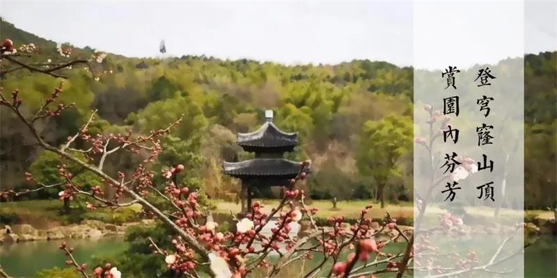 春季赏梅活动