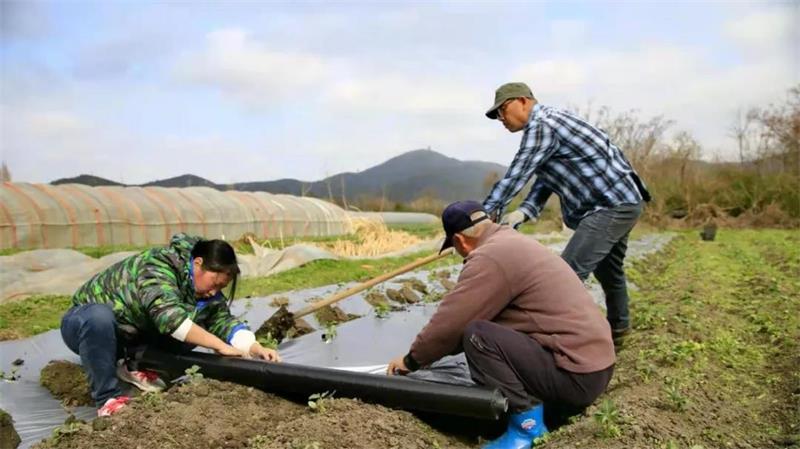 太湖西山旅游团建