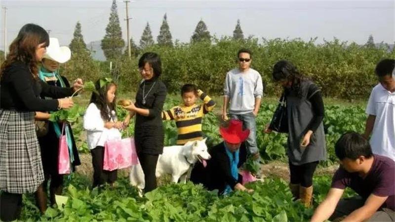 太湖牛仔度假村