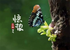 二十四节气之惊蛰——春季游玩在牛仔度假村