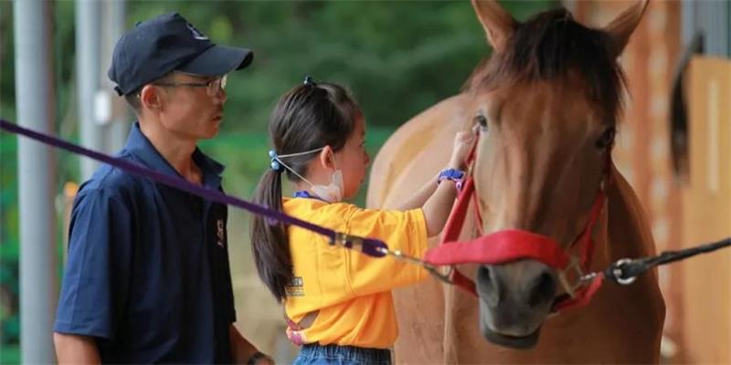 牛仔度假村马术夏令营