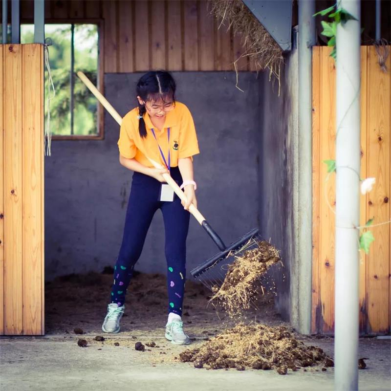 太湖马术夏令营