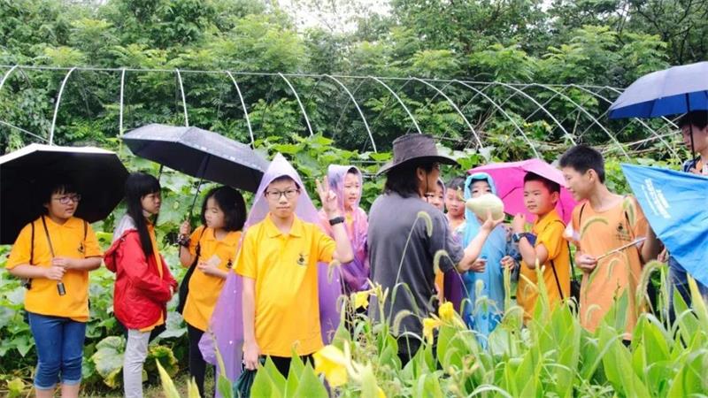 牛仔度假村幸福夏令营