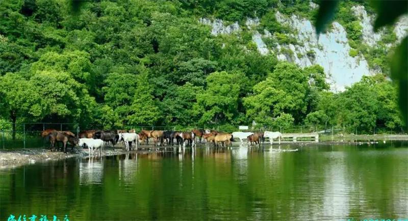 太湖牛仔度假村
