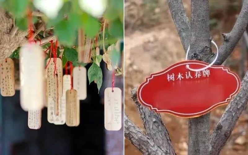 太湖牛仔度假村