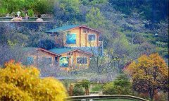 三合一幸福健康营｜静品碧螺春，颐养身心灵