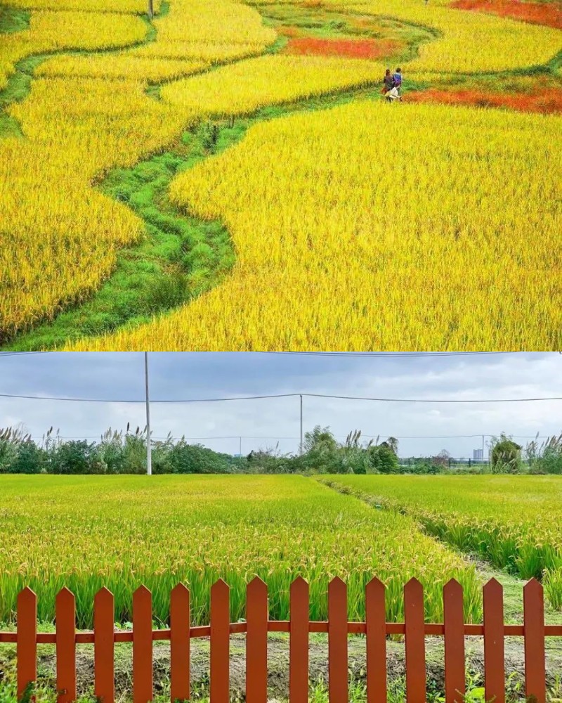 莫干山