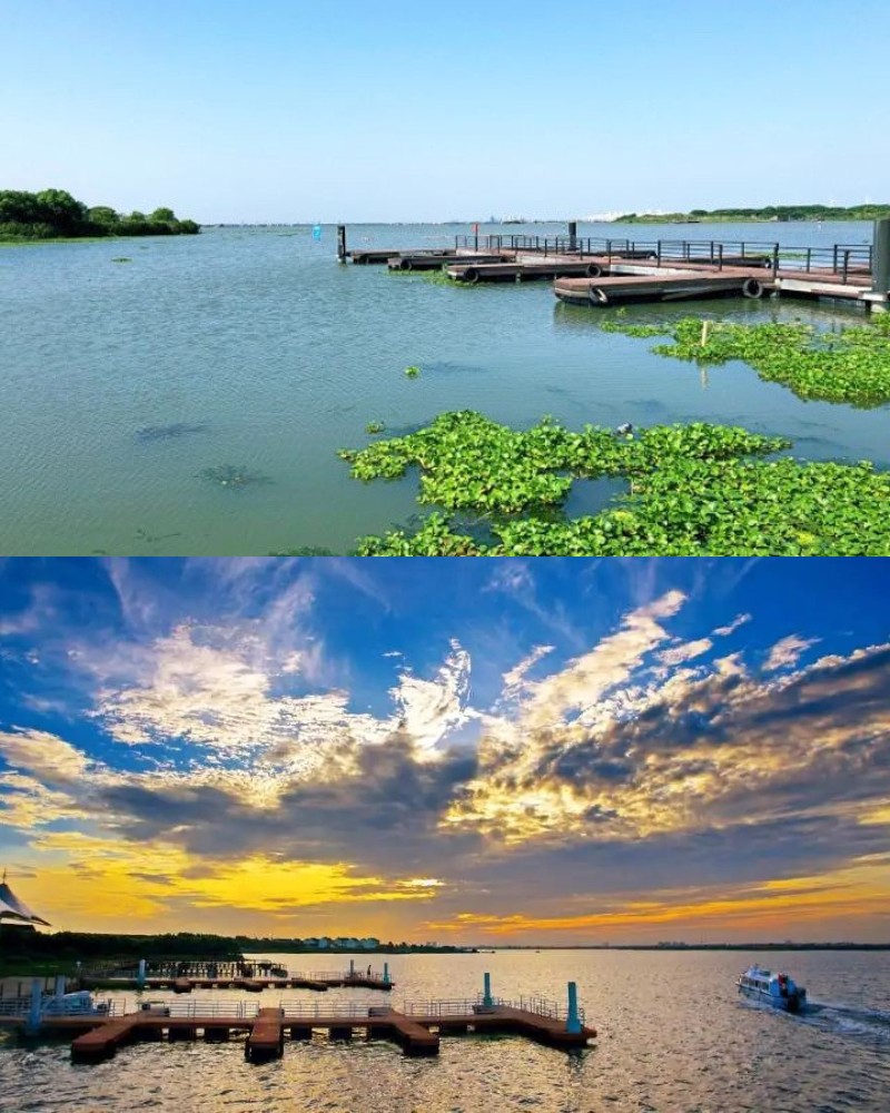 阳澄湖