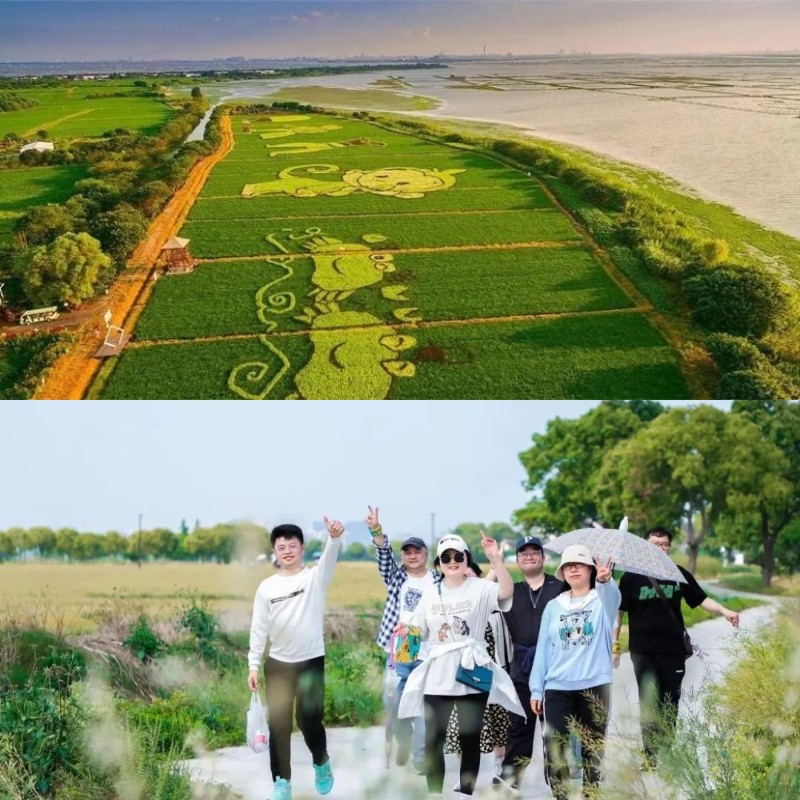 阳澄湖