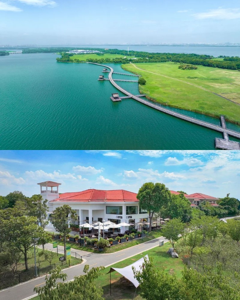 阳澄湖