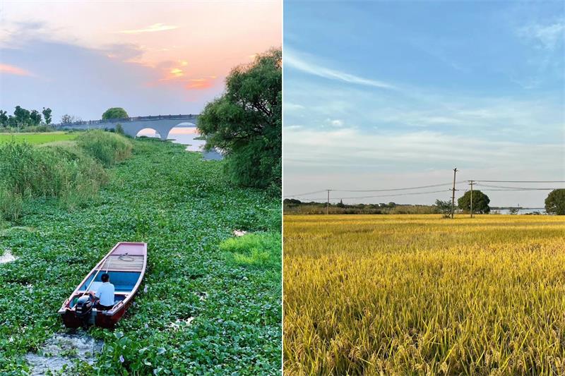 阳澄湖旅行团建